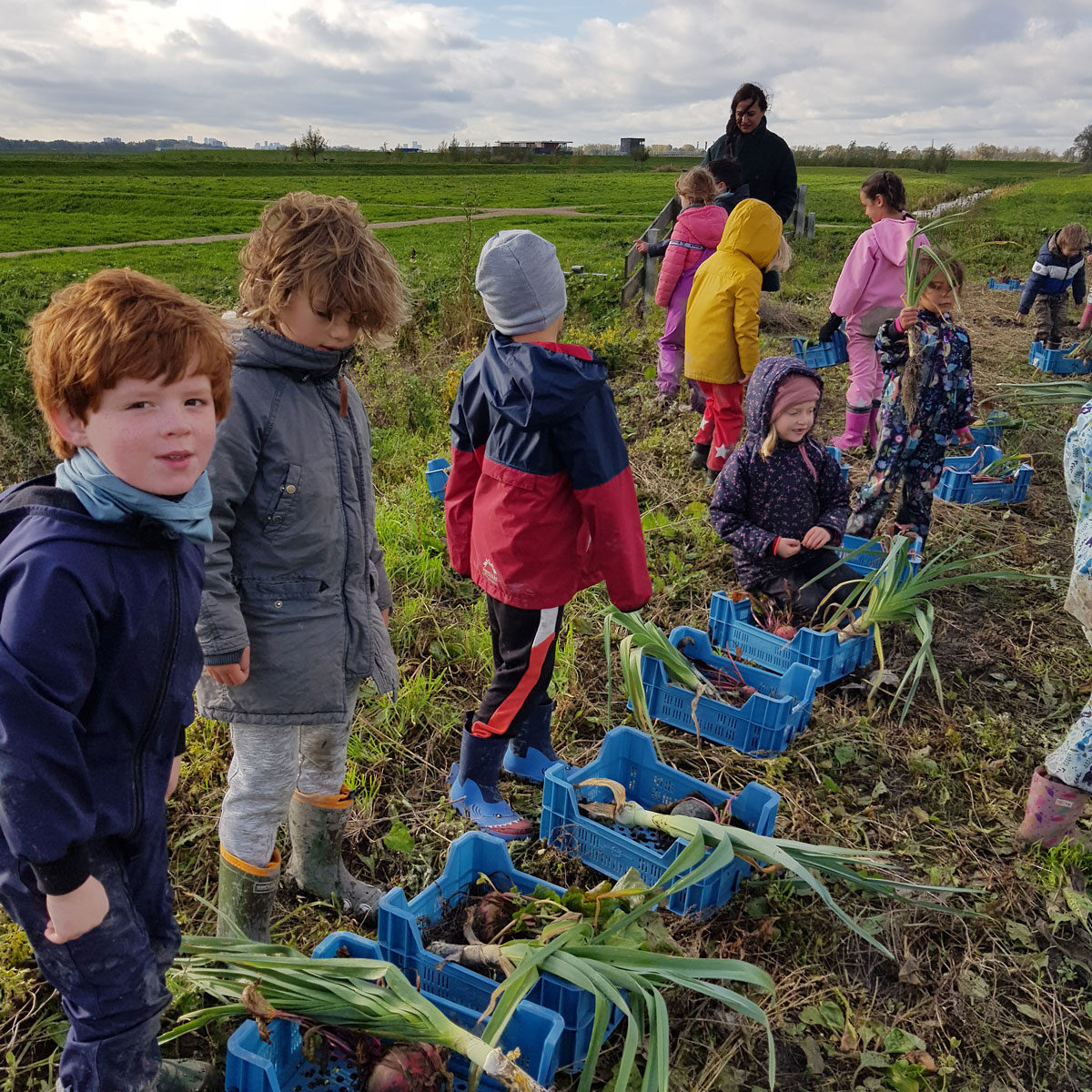 Samen oogsten wat wij eerder gezaaid hebben